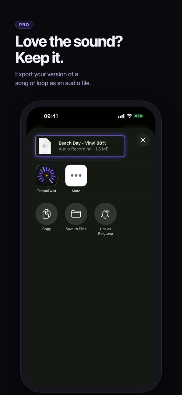 Love the sound? Keep it. Export your version of a song or loop as an audio file, a Pro feature. The share sheet shows an exported file named Beach Day, Vinyl 88%.